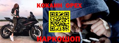 шишки Лесосибирск